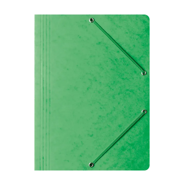 Hamelin, teczka preszpanowa z gumką Bantex, A4, zielony, 1 szt.
