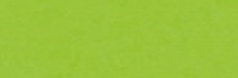 Happy Color, brystol kolorowy, 170g, A3, 25 arkuszy, jasnozielony