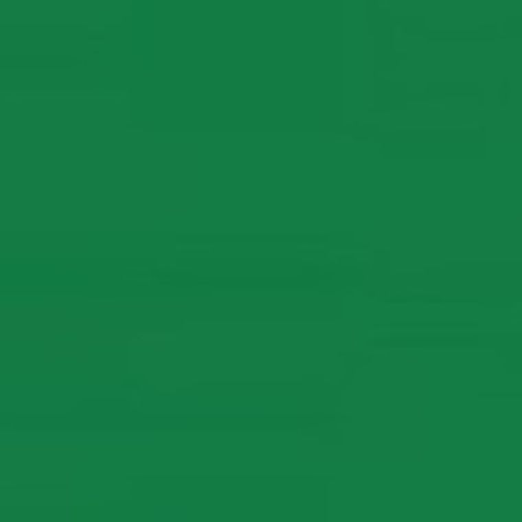 Happy Color, karton kolorowy, ciemnozielony, A4, 170g, 25 arkuszy