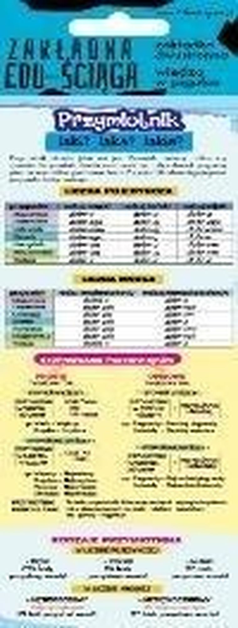 Henry, Edu-Ściąga, zakładka do książki, Przymiotnik zaimek liczebnik