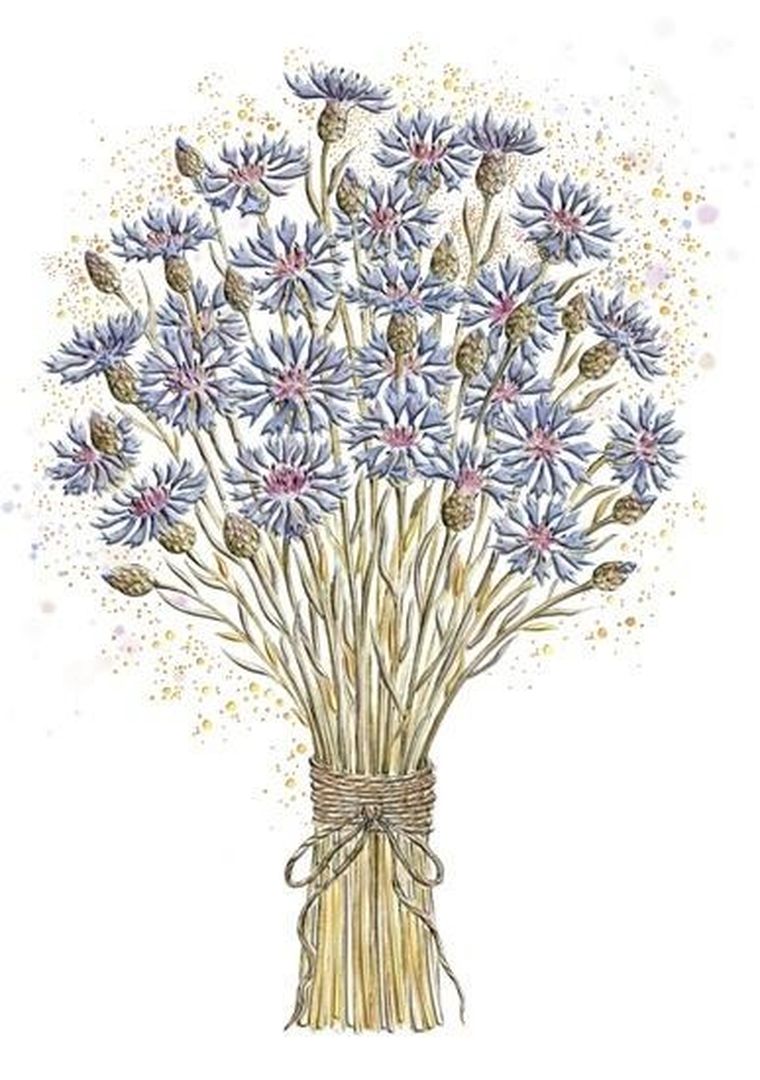 Henry, karnet A5 z kopertą, złocony, Chabry