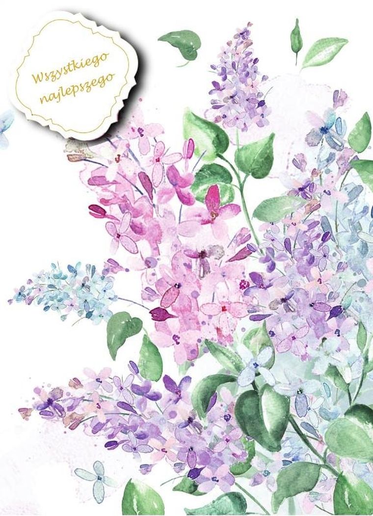 Henry, karnet B6, bez