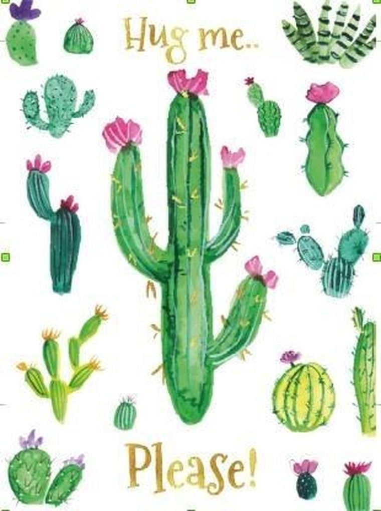 Henry, karnet B6, kaktusy