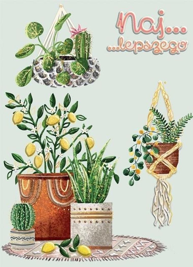 Henry, karnet B6 kwiaty doniczkowe