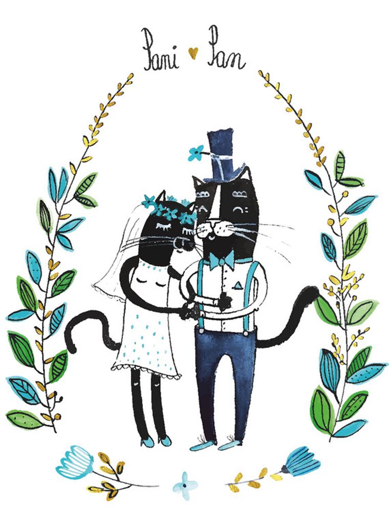 Henry, karnet B6, ślub, czarne koty