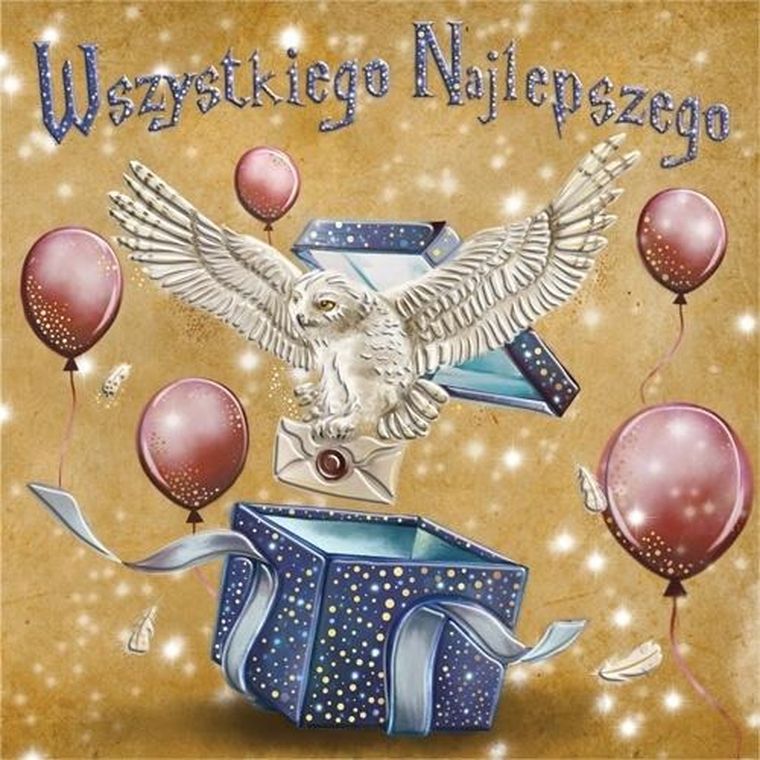 Henry, karnet, biała sowa