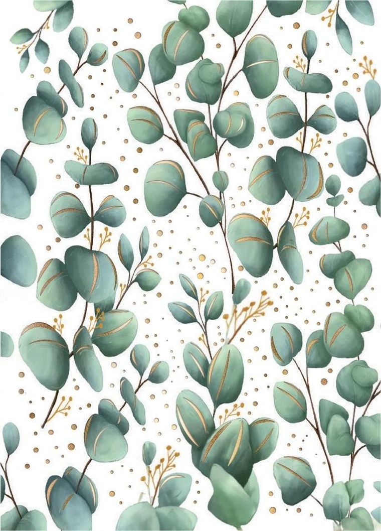 Henry, karnet mini B8, Eukaliptus