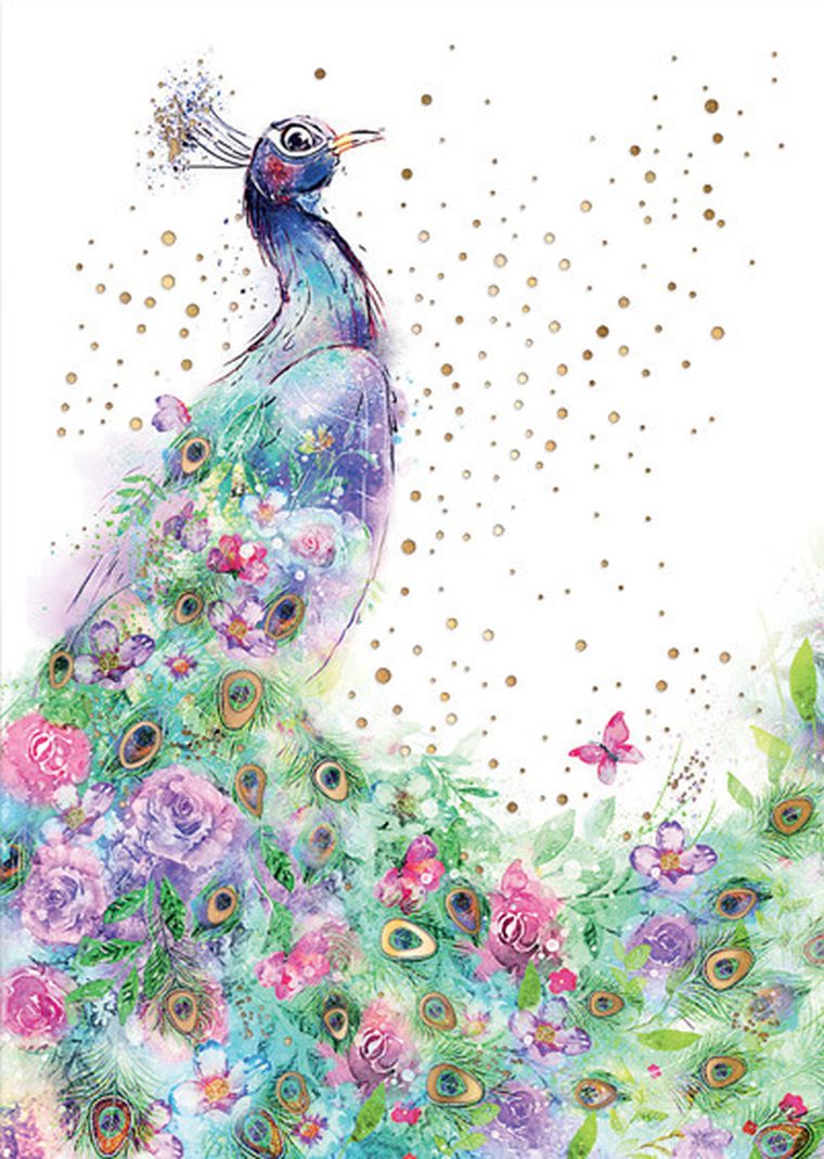 Henry, karnet okazjonalny z kopertą, B6, paw w kwiatach