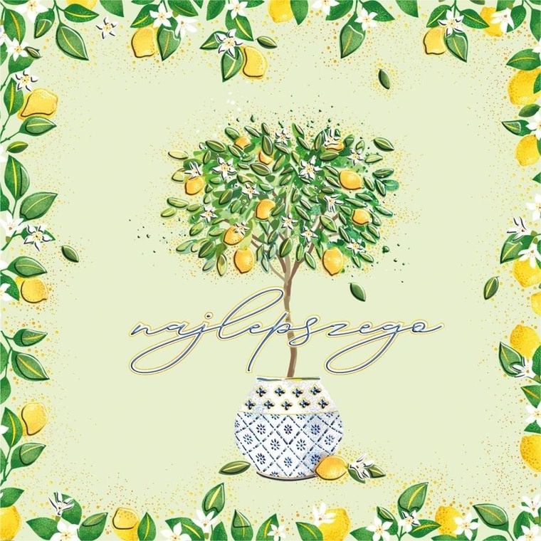 Henry, karnet z kopertą, 15-15 cm, Drzewko Cytryn