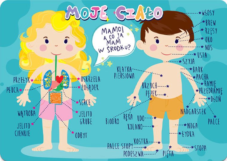 Henry, podkładka na biurko, ciało