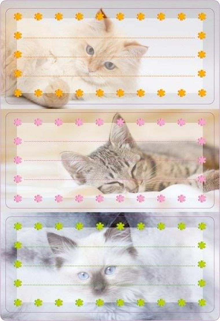 Herma, Kotki, naklejki szkolne