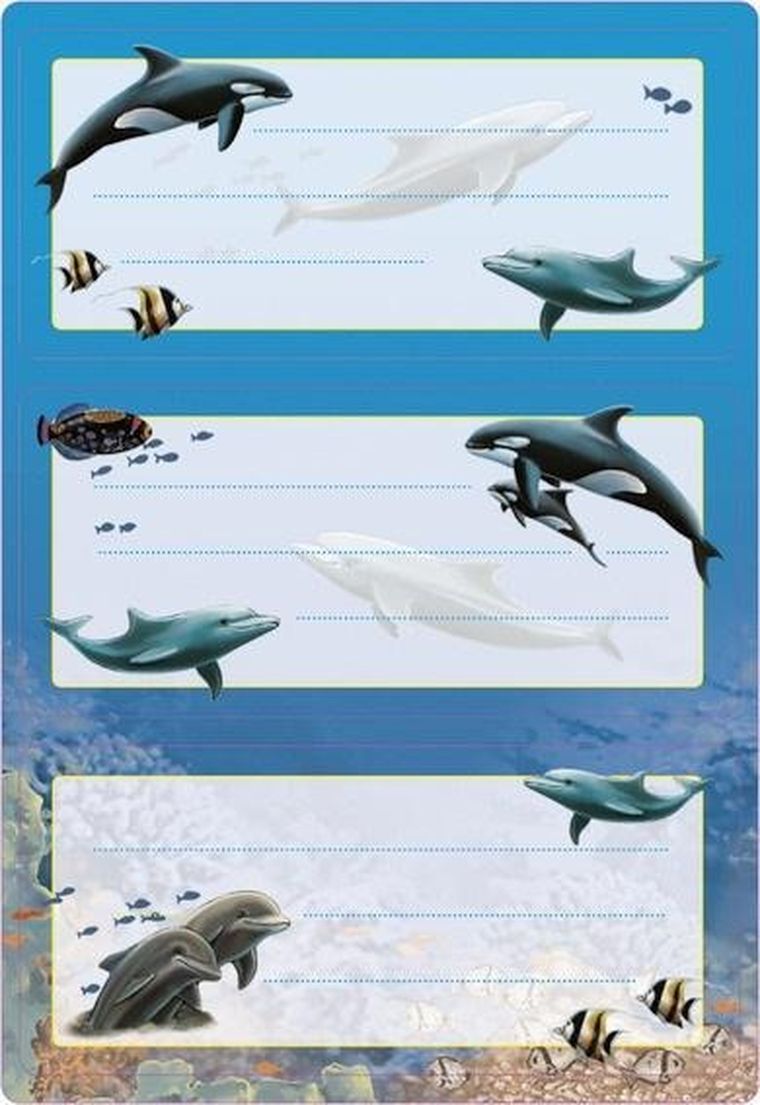 Herma, naklejki szkolne, delfiny