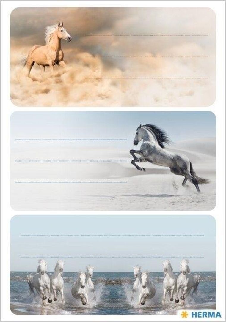 Herma, naklejki szkolne, konie