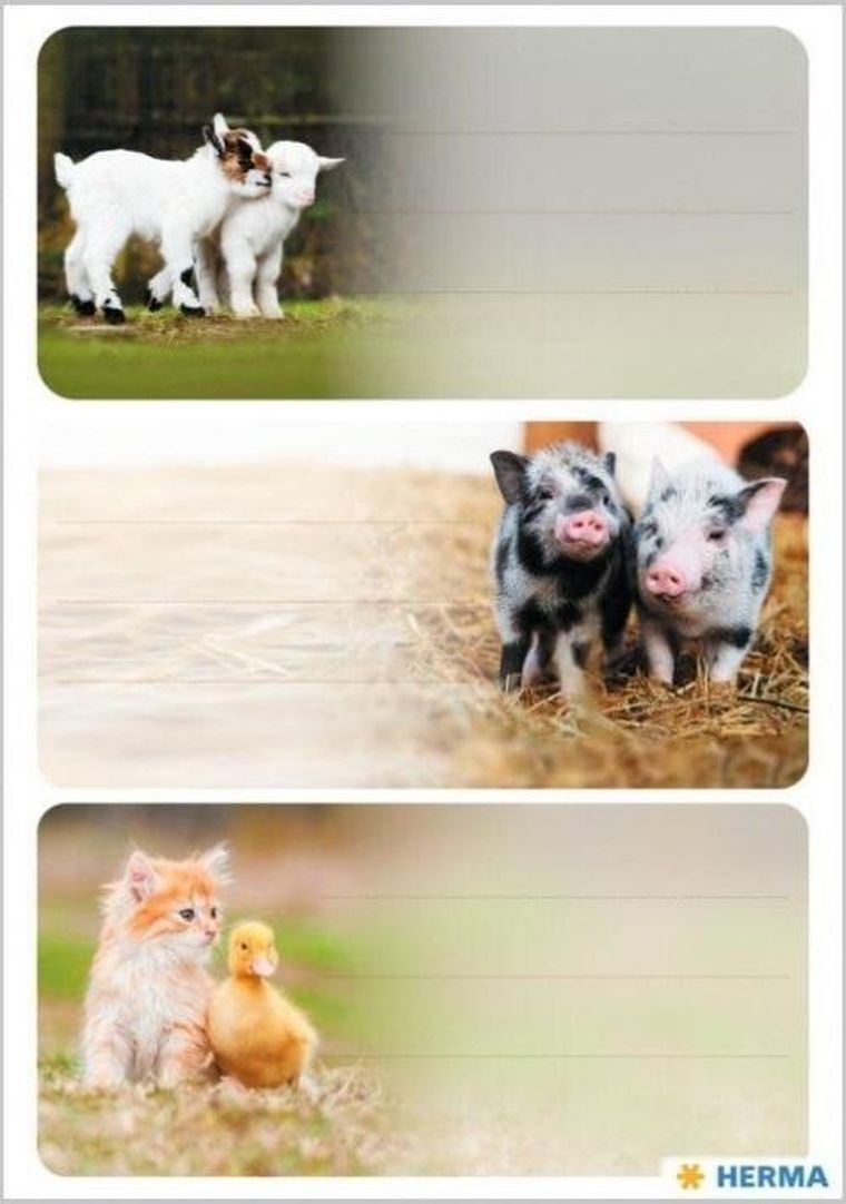 Herma, naklejki szkolne, zwierzęta wiejskie