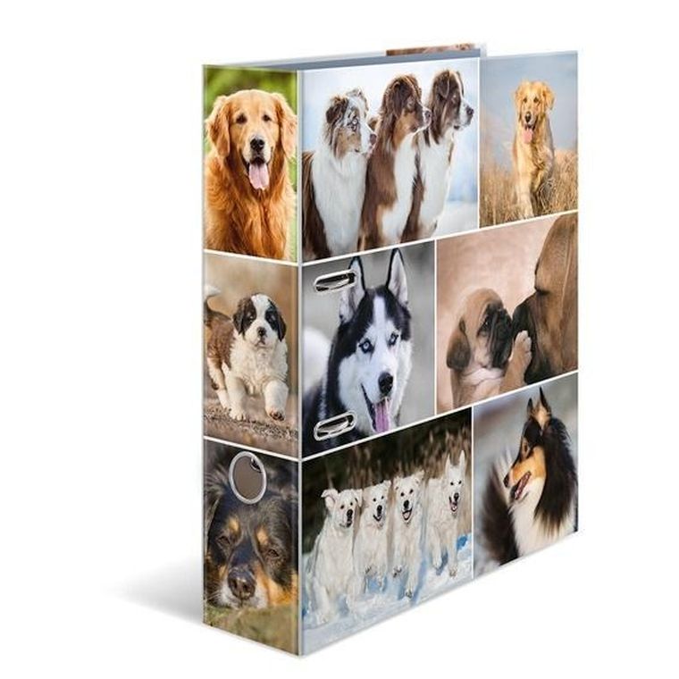 Herma, segregator A4, Psy