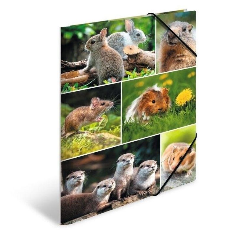 Herma, teczka A4, gumki narożne, gryzonie, 1 szt.