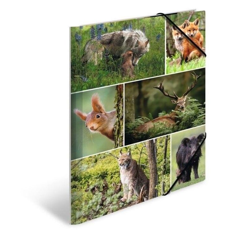 Herma, teczka A4, gumki narożne, leśne zwierzęta, 1 szt.