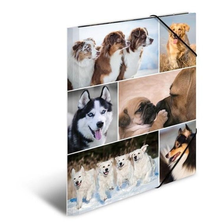 Herma, teczka A4, gumki narożne, psy, 1 szt.