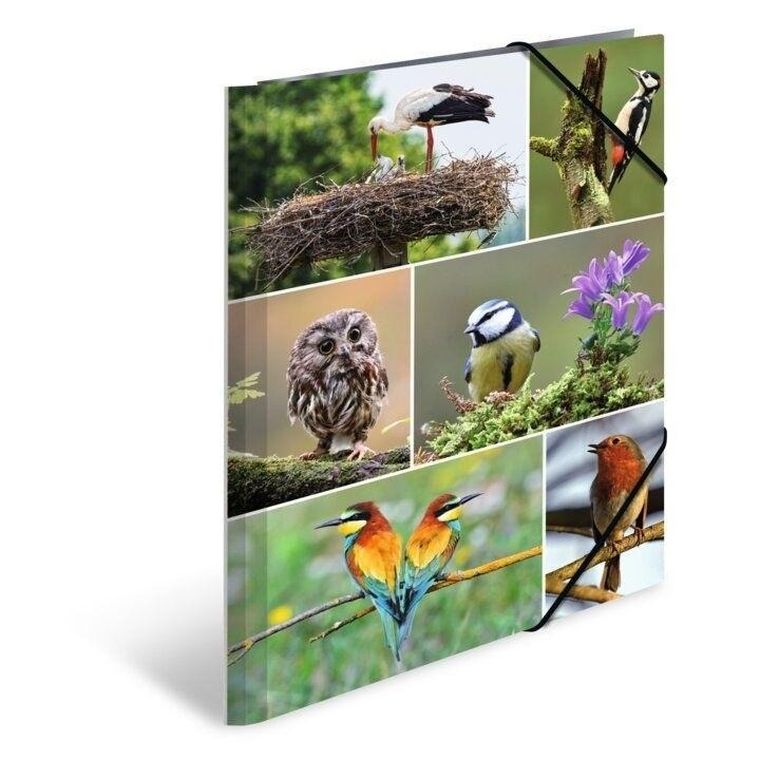 Herma, teczka A4, gumki narożne, ptaki, 1 szt.