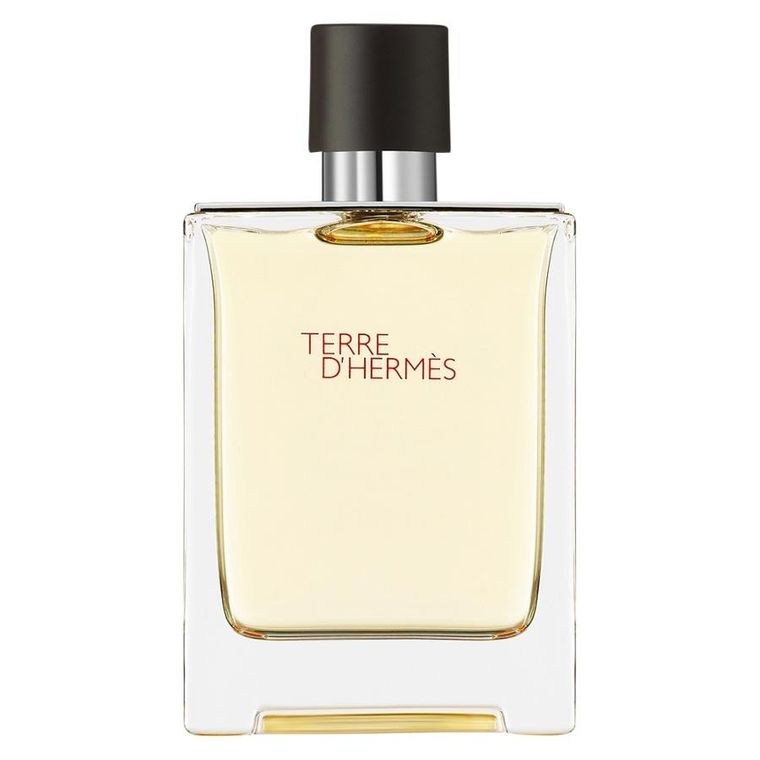 Hermes, Terre D'Hermes, woda toaletowa, spray, 100 ml