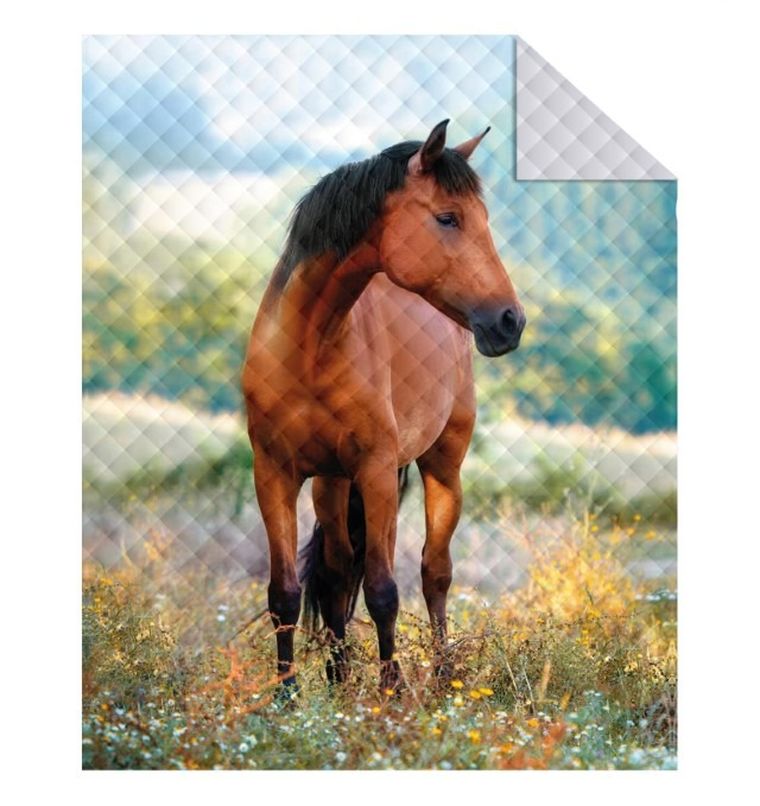 Holland, Koń, dwustronna narzuta, 170-210 cm