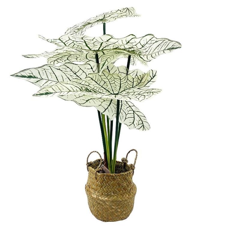 Home Styling Collection, Alokazja, kwiat sztuczny w koszyku