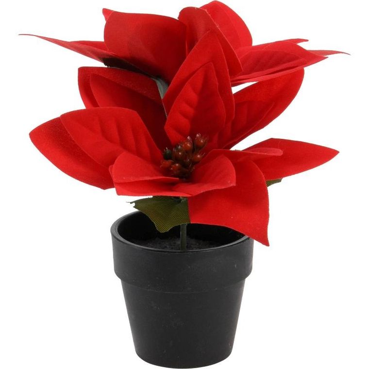 Home Styling Collection, gwiazda betlejemska sztuczna w doniczce, wys. 18 cm