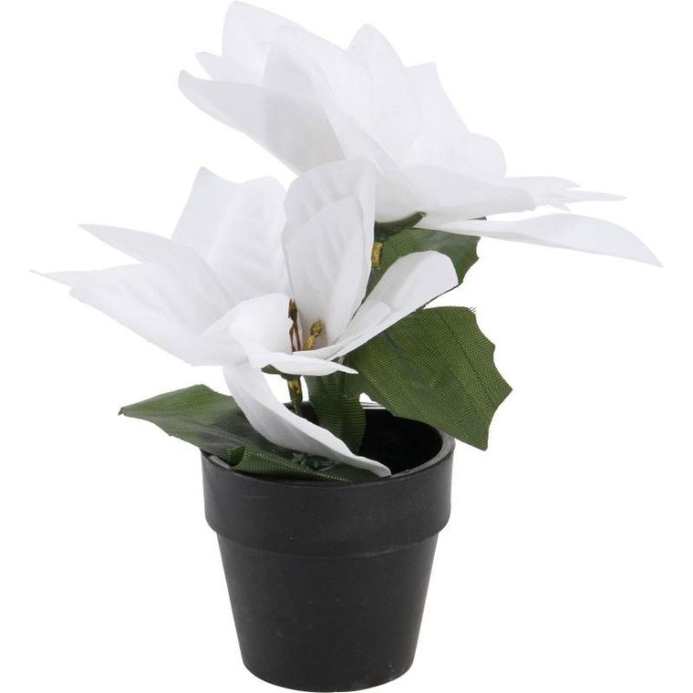 Home Styling Collection, gwiazda betlejemska sztuczna w doniczce, wys. 18 cm