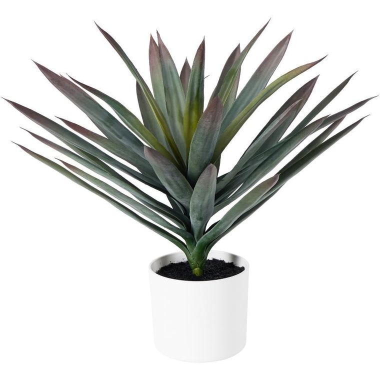 Home Styling Collection, Orno, sztuczna roślina dekoracyjna, agawa w białej doniczce, 40-50 cm