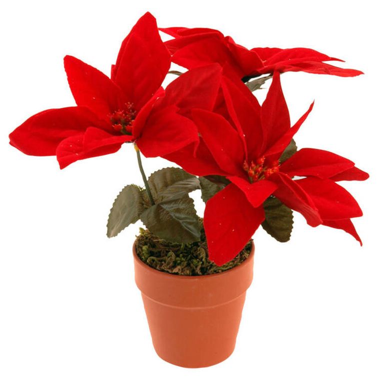 Home Styling Collection, sztuczna gwiazda betlejemska, 22 cm