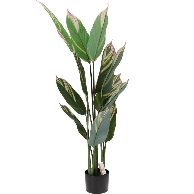 Home Styling Collection, sztuczna roślina doniczkowa, 140 cm