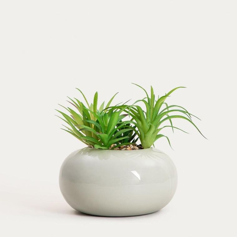 Homla, Accio, roślina sztuczna, sukulent w donicy, 19 cm