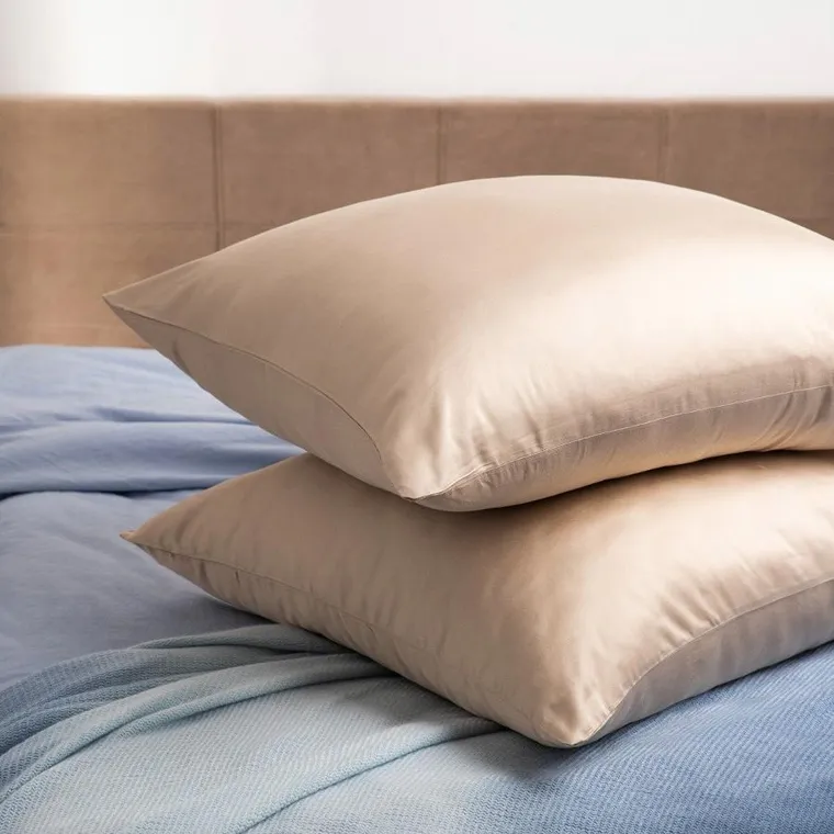 Homla, Bamsa, zestaw dwóch poszewek, bambusowych, beżowych, 70-80 cm, 738494