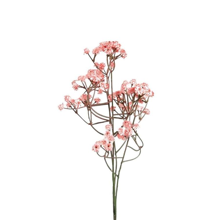 Homla, Cladel, gałązka sztuczna, koralowa, 61 cm