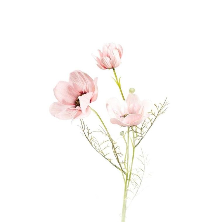 Homla, Emra, gałązka sztuczna, maki różowe, 76 cm
