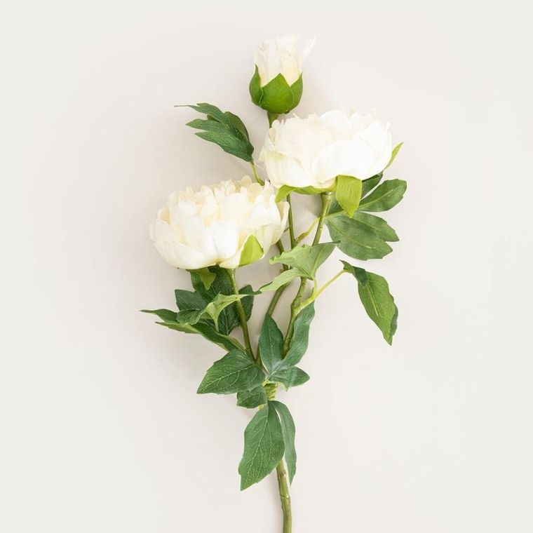 Homla, Paeonia, gałązka sztuczna, piwonie białe, 81 cm