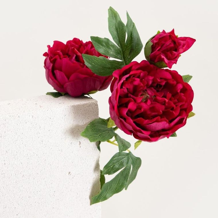 Homla, Paeonia, roślina sztuczna, piwonie ciemnoróżowe, 81 cm