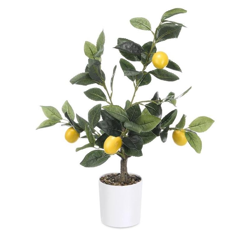 Ibergarden, dekoracyjne drzewko cytrynowe, 58 cm