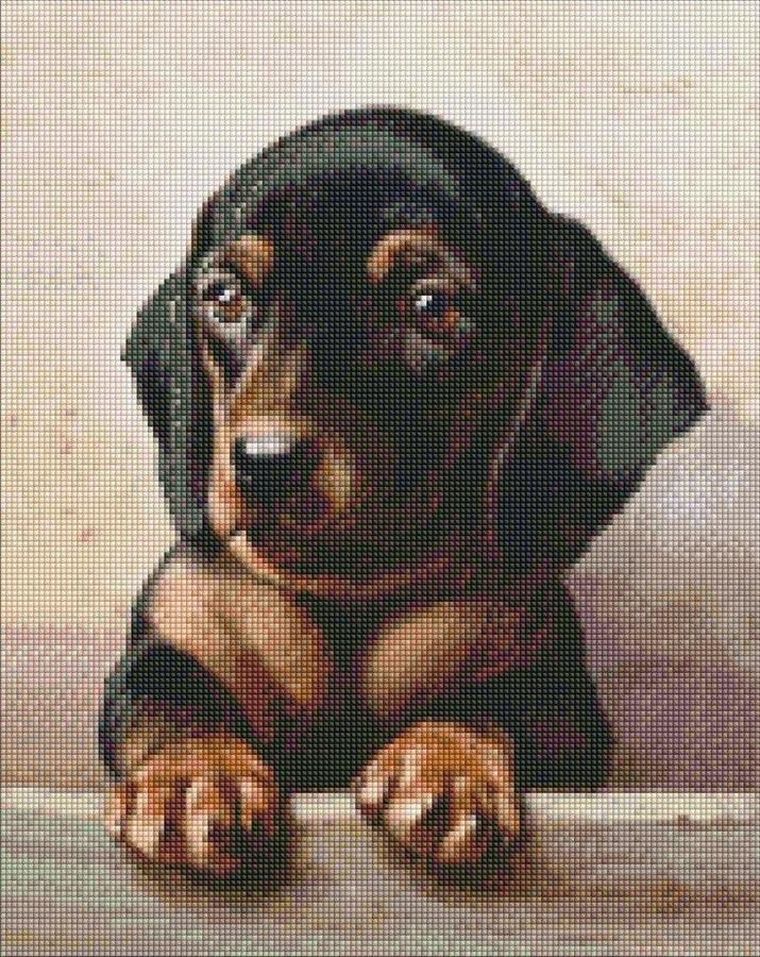 Ideyka, diamentowa mozaika, Dedykowany wygląd, 40-50 cm