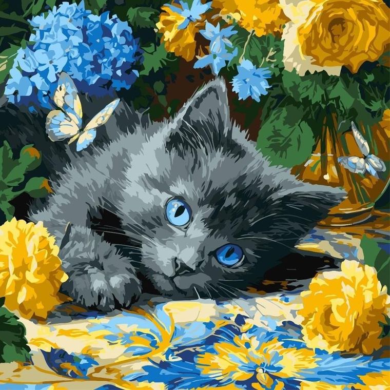 Ideyka, malowanie po numerach, Błękitnookie kocię, 40-40 cm