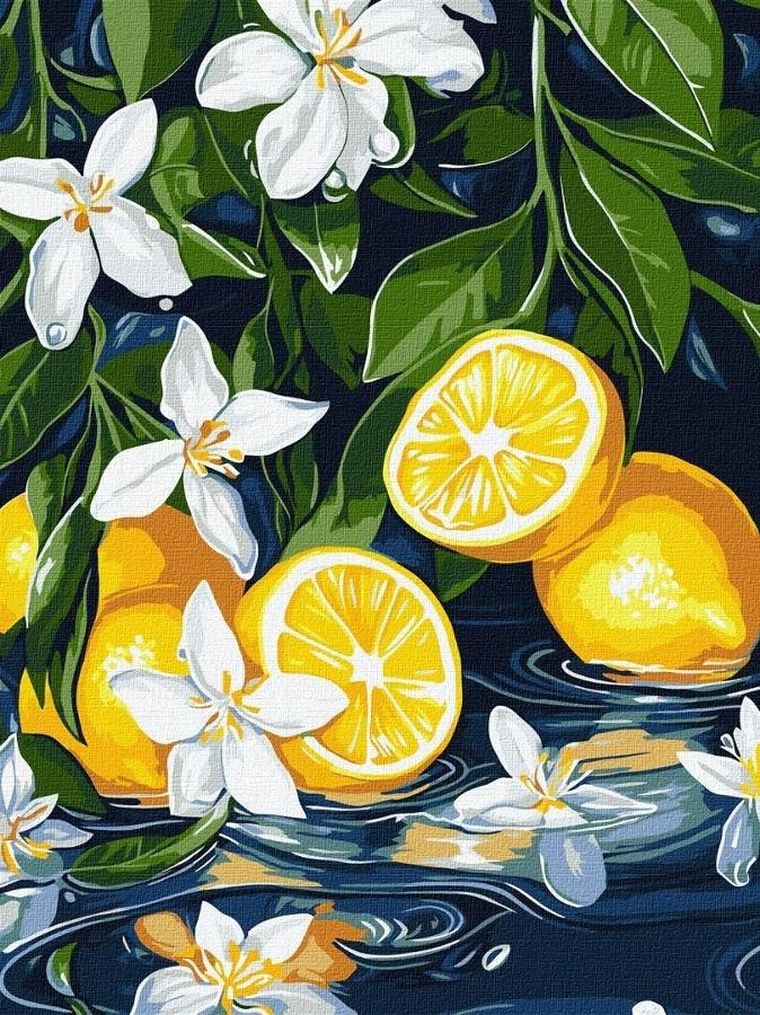 Ideyka, malowanie po numerach, Cytryna w przekroju, 30-40 cm