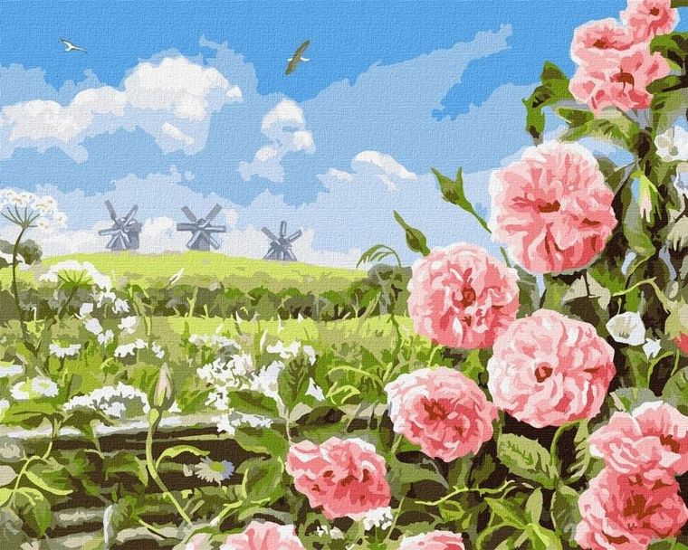 Ideyka, malowanie po numerach, Delikatność pól, 40-50 cm