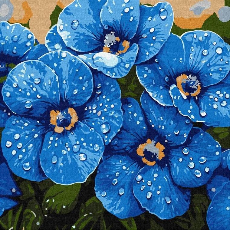Ideyka, malowanie po numerach, Fiołki w rosie, 40-40 cm