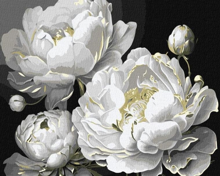 Ideyka, malowanie po numerach, Nieskazitelne piękno, 40-50 cm