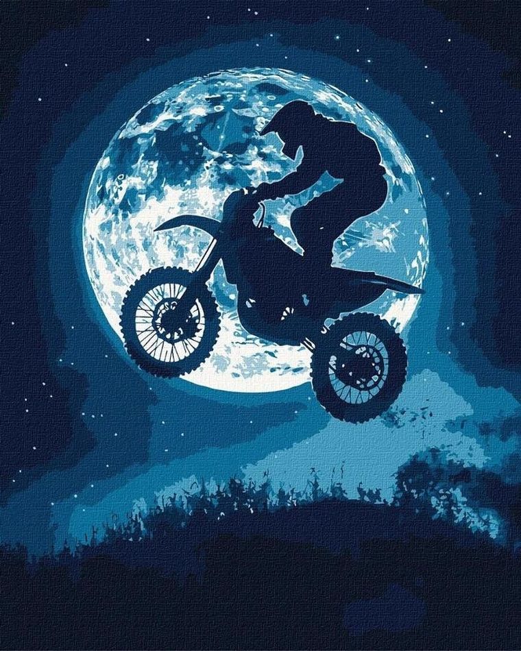 Ideyka, malowanie po numerach, Nocny szał, 40-50 cm