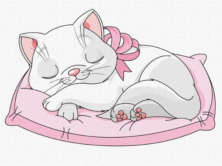 Ideyka, malowanie po numerach, Piękny kotek, 30-40 cm