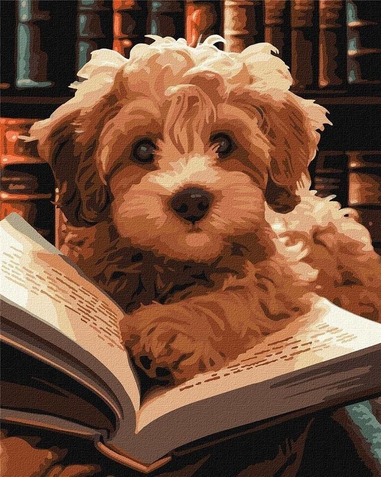 Ideyka, malowanie po numerach, Puszysty czytelnik, 40-50 cm