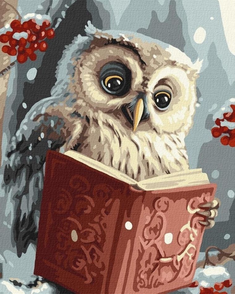 Ideyka, malowanie po numerach, Sprytna sowa, 40-50 cm