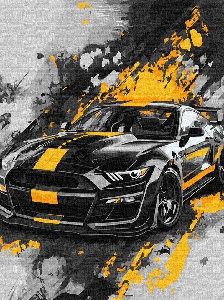 Ideyka, malowanie po numerach, Styl sportowy, 30-40 cm