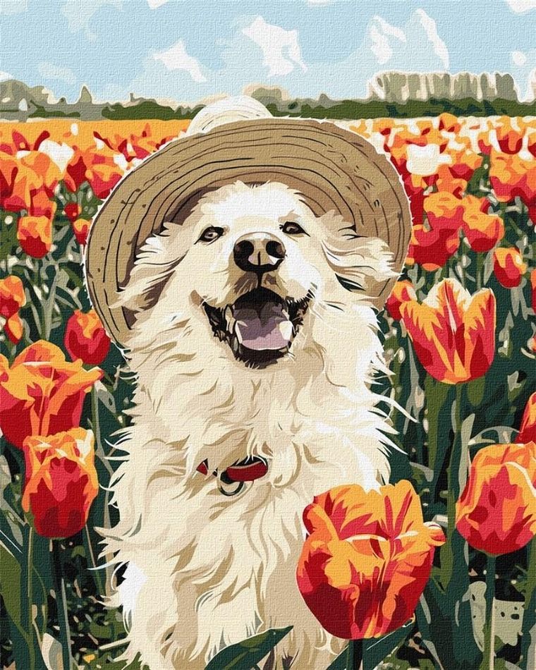 Ideyka, malowanie po numerach, Szczęśliwy labrador, 40-50 cm